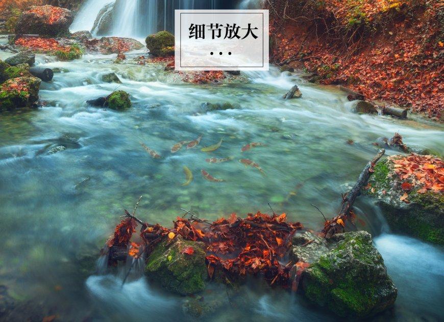 绿色猎人住宅逃生