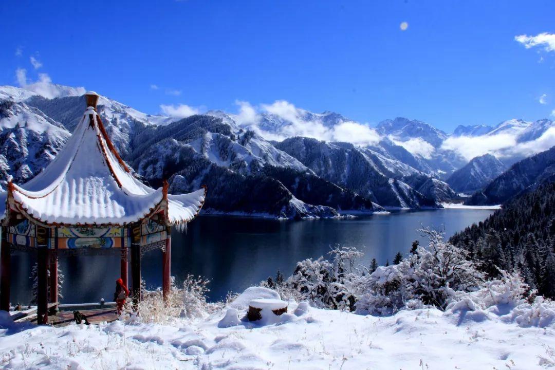 极品飞车ONLINE